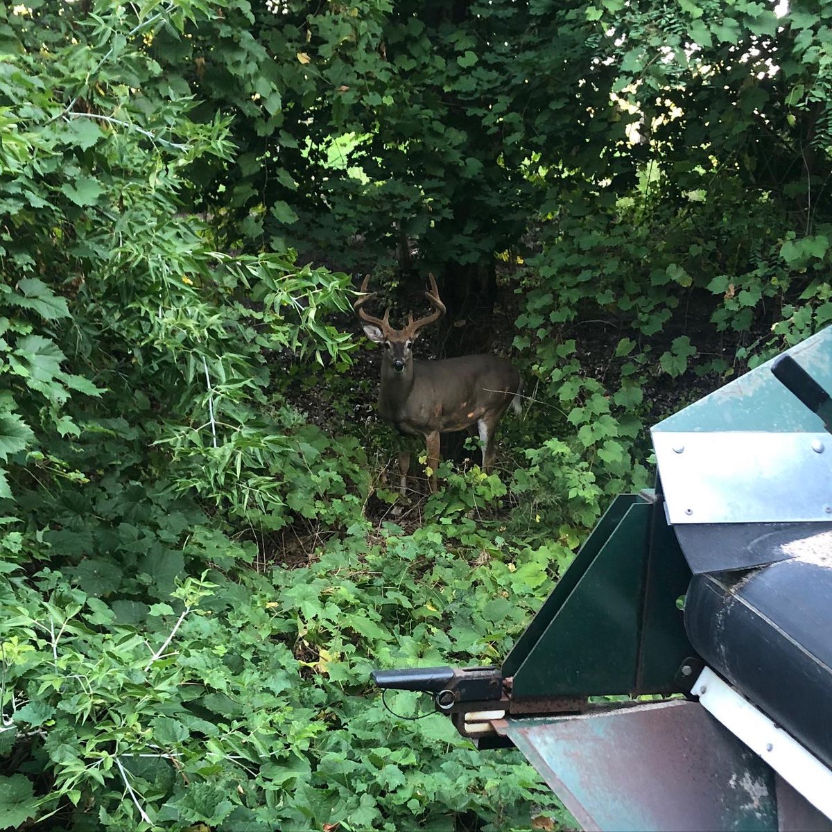 Lambton Golf & Country Club tweet media