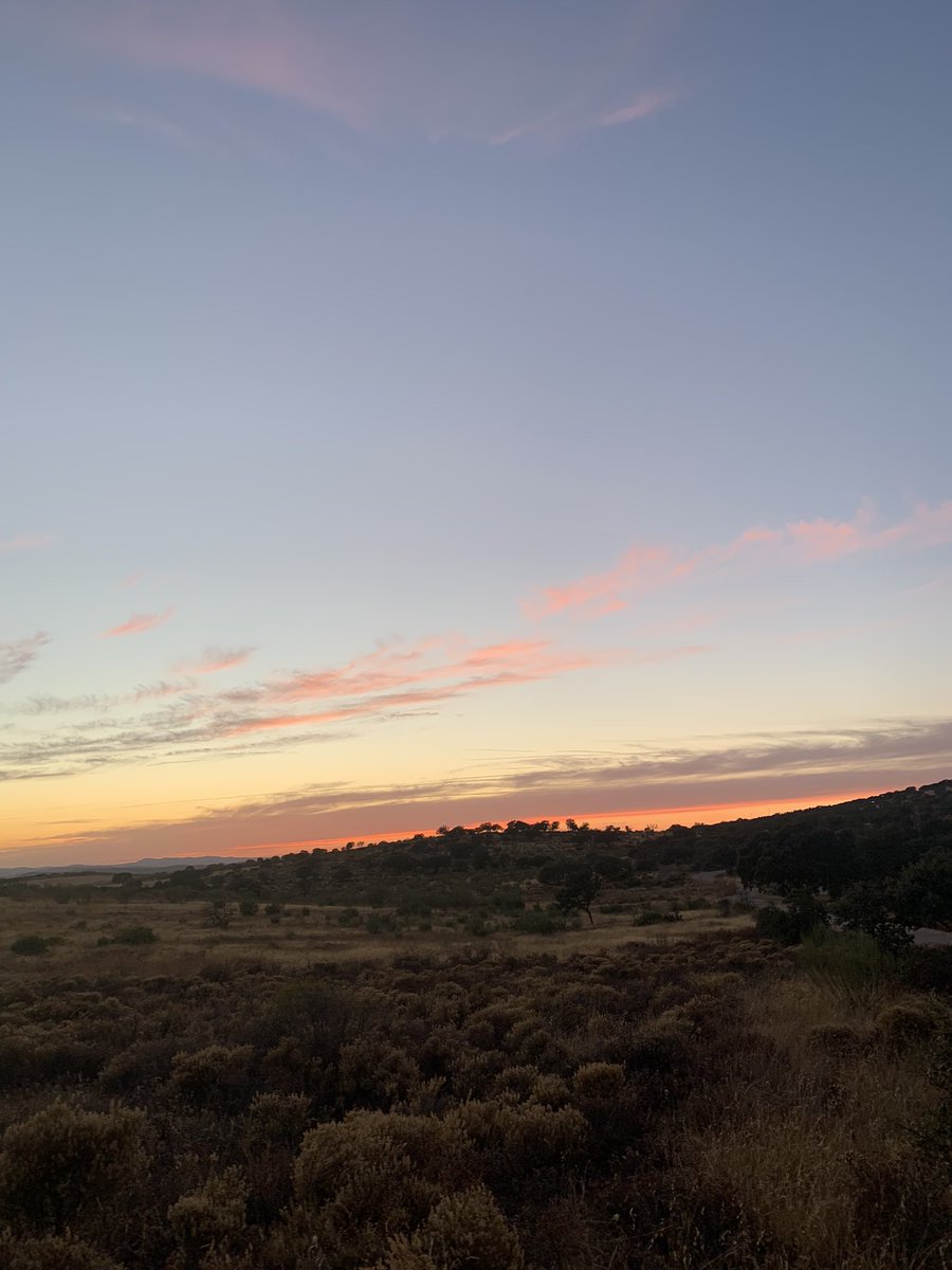 alvaroIL03's tweet photo. Campo Música Atardeceres. Placeres que se disfrutan mejor solo 
#atardecer #Extremadura https://t.co/GXvNGpP7Mq