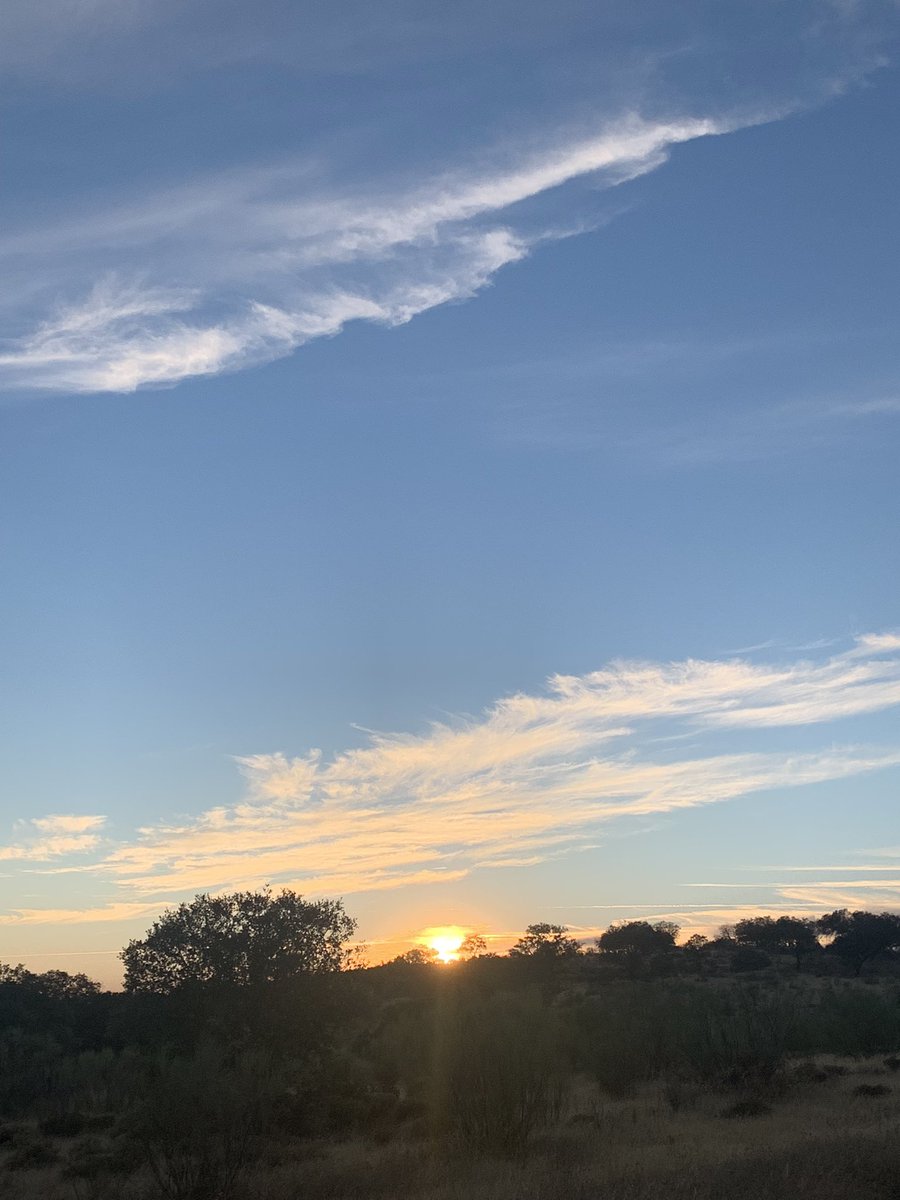 alvaroIL03's tweet photo. Campo Música Atardeceres. Placeres que se disfrutan mejor solo 
#atardecer #Extremadura https://t.co/GXvNGpP7Mq