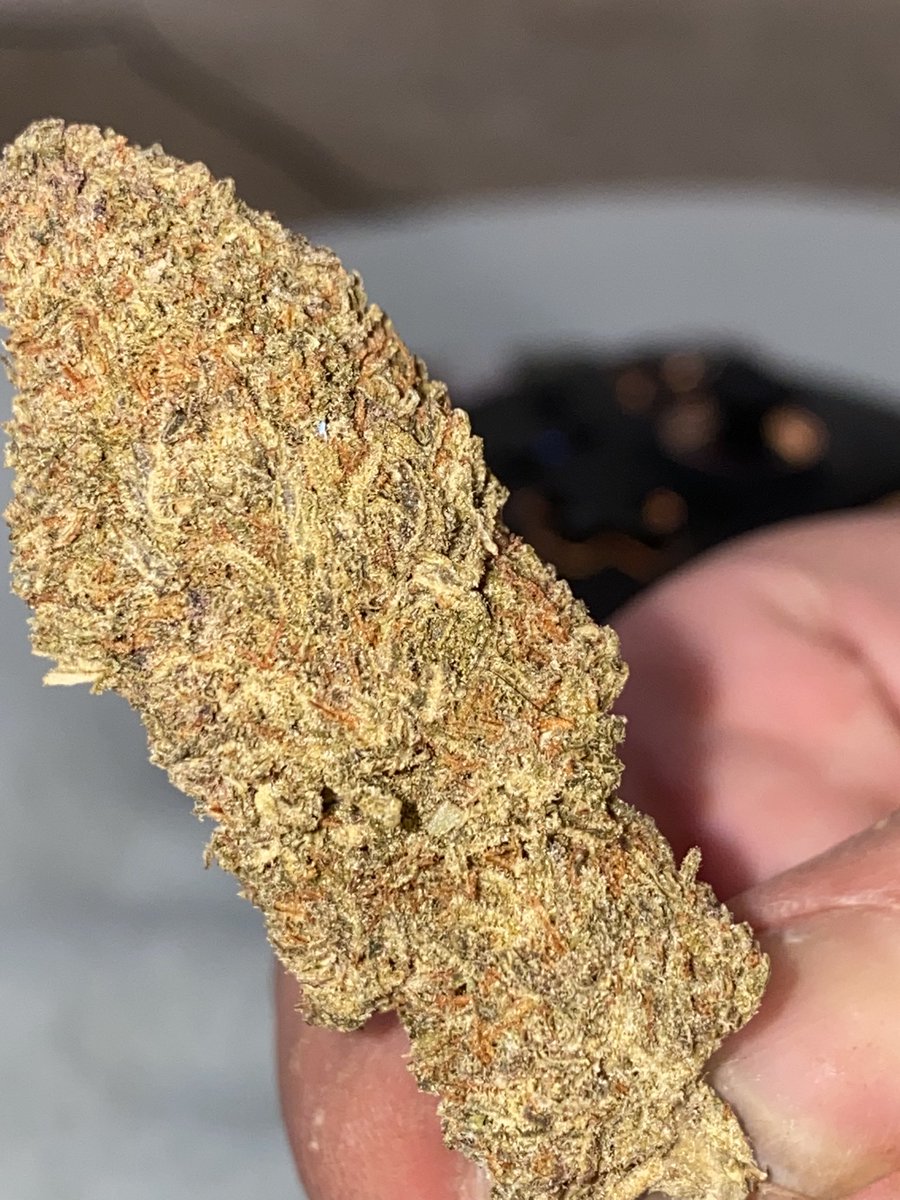 Ally_Reed18's tweet photo. @WeedPorns https://t.co/RhavIv8i6L