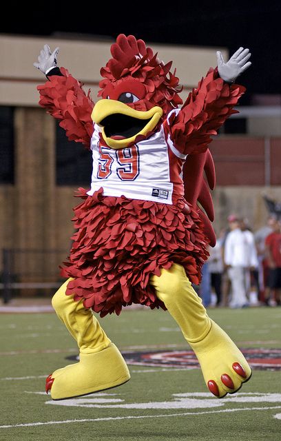 wljsjsu's tweet photo. Tomorrow's Saturday and you know what that means! GAMECOCK FOOTBALL🏈🏈!!
Come out and cheer the team on as they take on Davidson for their home opener @ 1 p.m. 🏈🏈

FEAR THE BEAK &amp; GO GAMECOCKS 🐓🐓🐔🐔👌👌👌!!!! https://t.co/vQ8AyLCxPB
