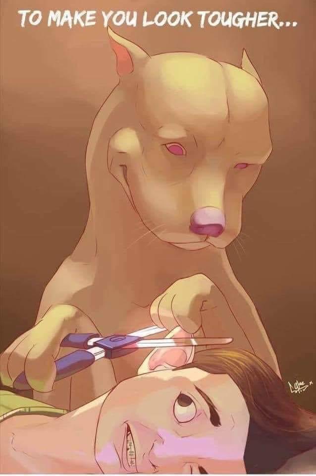 Julesk23's tweet photo. #StopCropping #ItsIllegal #dogs https://t.co/6aDYwC9Jrr