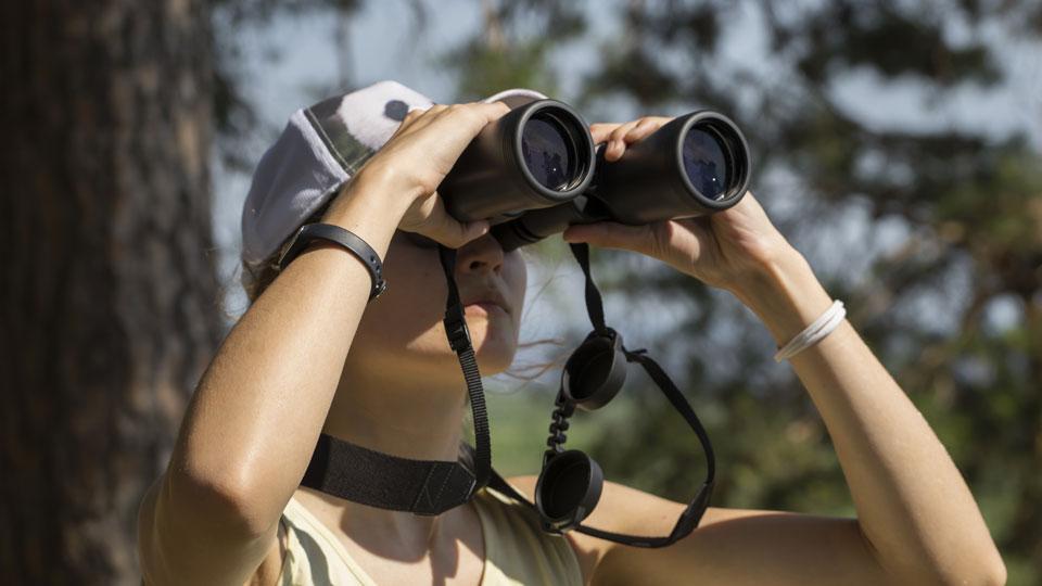 Curious about the best brand of binoculars? Check this out to see what brands make it to the top of the 2022 rankings!
👉lakehomes.site/3wJFkCK 
 
📸bhphotovideo.com

#lakeliving #binoculars #hightech #lakefun #lakeactivities #lakelife #lakehouses #lakehomes #lake #lakes