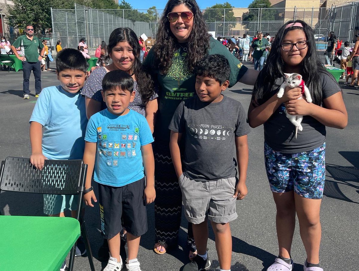 ps211_elmtree tweet media