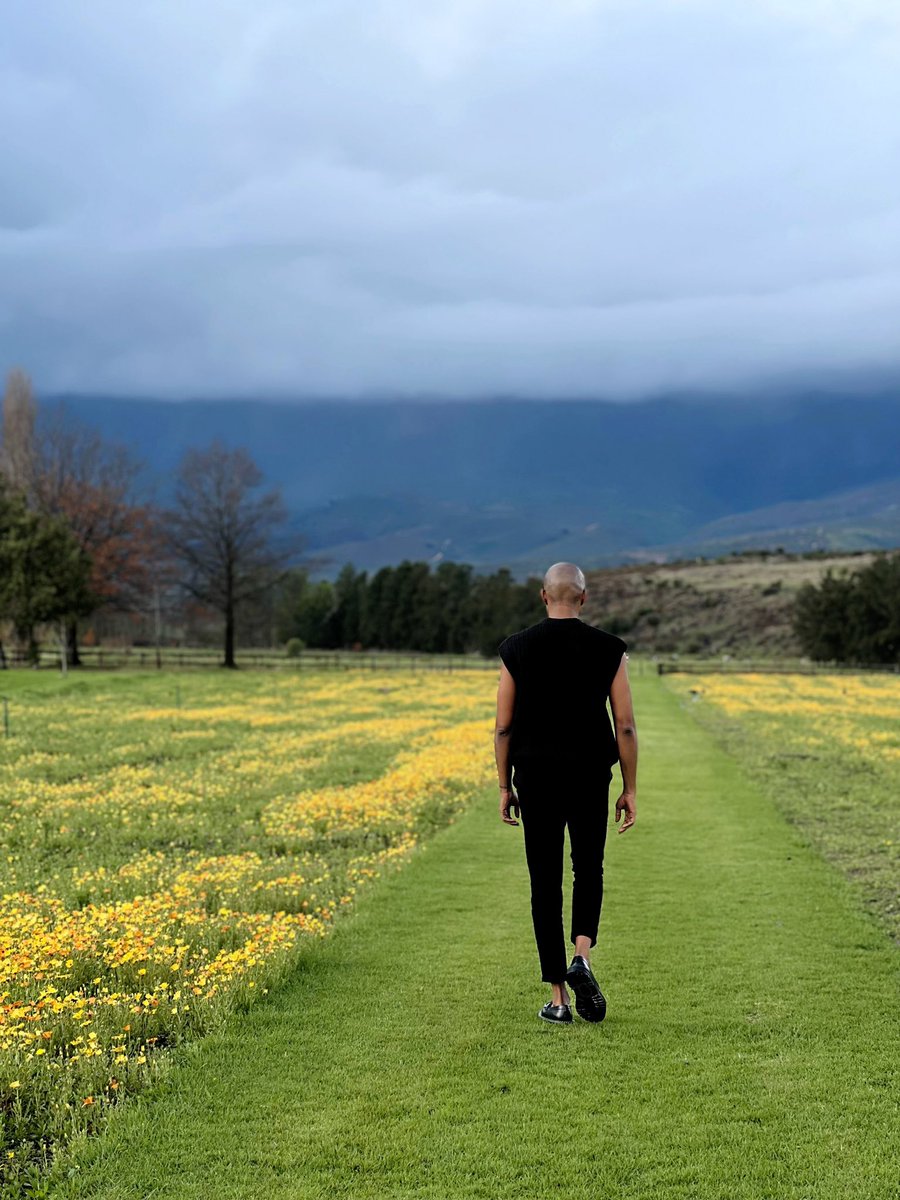 Lichumile ikhaya tweet media