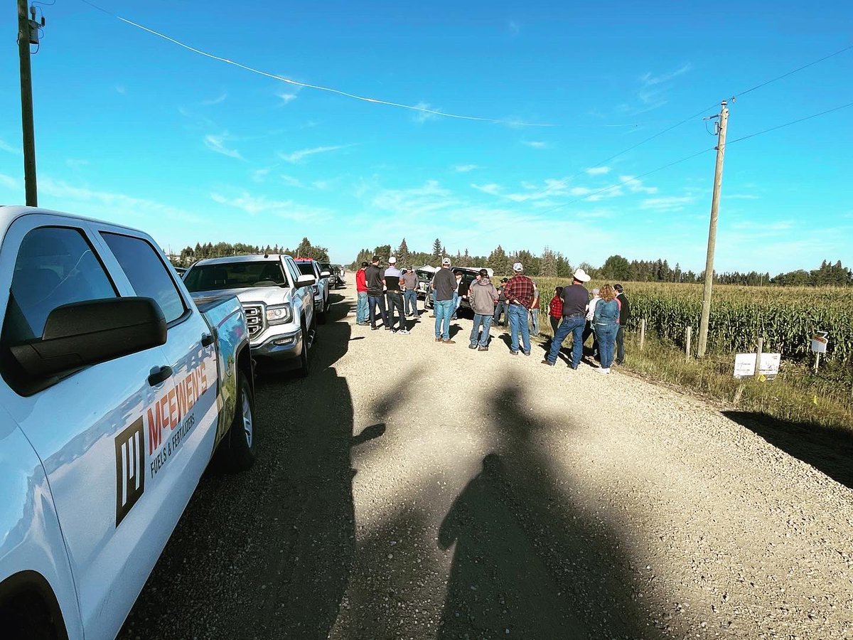 McEwensFF (@mcewensff) on Twitter photo It’s CORN! 🌽 Excellent turnout this morning for the annual Barrhead corn plot tour! Big thanks to our cooperator Triangle K Farms and <a href="/taylor_heck15/">Taylor Heck</a> for their hard work…Also to <a href="/tylercrowe_/">Tyler Crowe</a> & <a href="/Bayer4CropsCA/">Crop Science Canada</a> for the education / variety update. 🚜 Silage season 🔜 It’s CORN! 🌽 Excellent turnout this morning for the annual Barrhead corn plot tour! Big thanks to our cooperator Triangle K Farms and <a href="/taylor_heck15/">Taylor Heck</a> for their hard work…Also to <a href="/tylercrowe_/">Tyler Crowe</a> & <a href="/Bayer4CropsCA/">Crop Science Canada</a> for the education / variety update. 🚜 Silage season 🔜