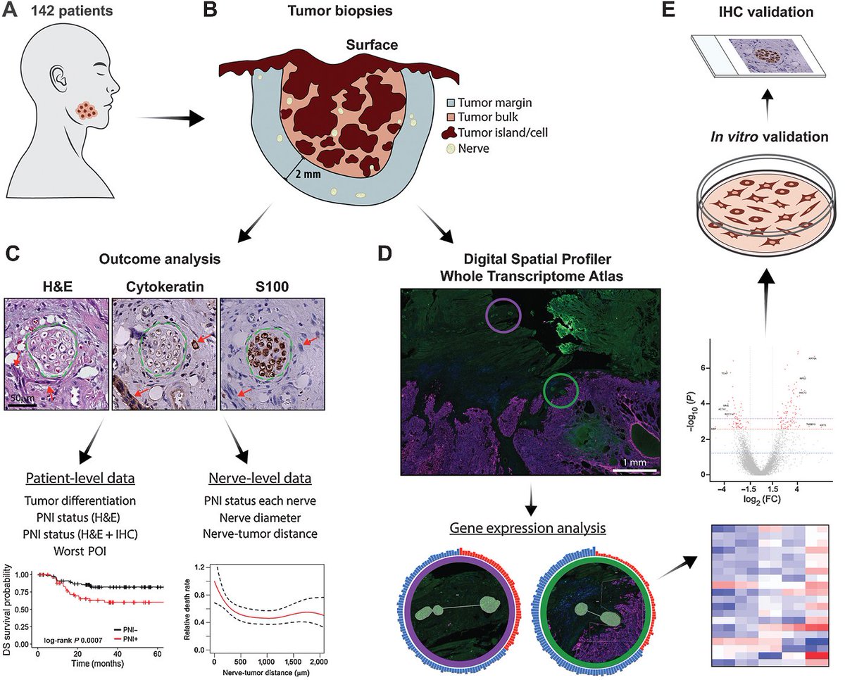 Clinical Cancer Research tweet media