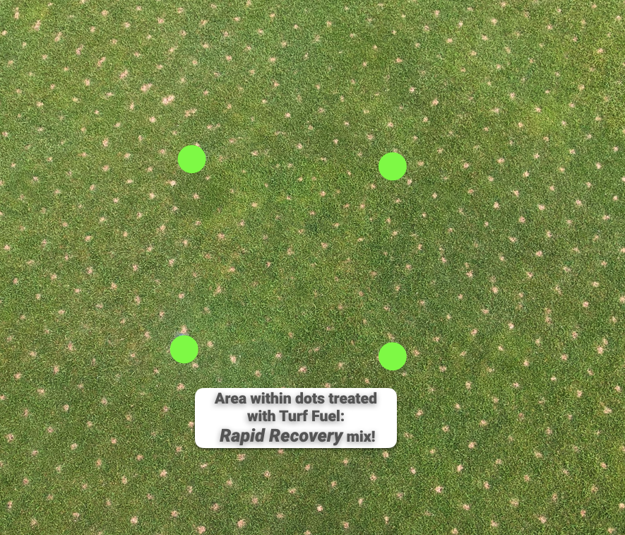 TurfFuel's tweet photo. Get your greens ready for next season with Rapid Recovery! Learn more here: https://t.co/BnPvSFpUGf
#moreispossible #aerationday #turfhead #healthyturf #turflife #healthysoil #turfgrass https://t.co/ukPbZYoFVk