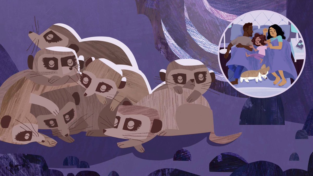 Owlkids Publishing tweet media