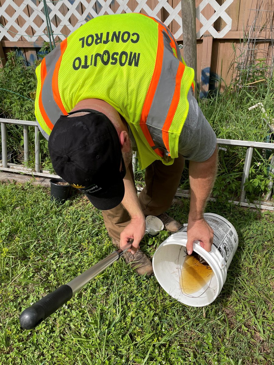 VCMosquito's tweet photo. Tips on how to #FightTheBite🦟this holiday weekend:
- Check your yard for any items holding water and #TipnToss
- Wear EPA approved repellents to prevent mosquito bites
- Remind friends and family about the importance of checking for standing water and preventing mosquito bites https://t.co/gEU1hLCndA