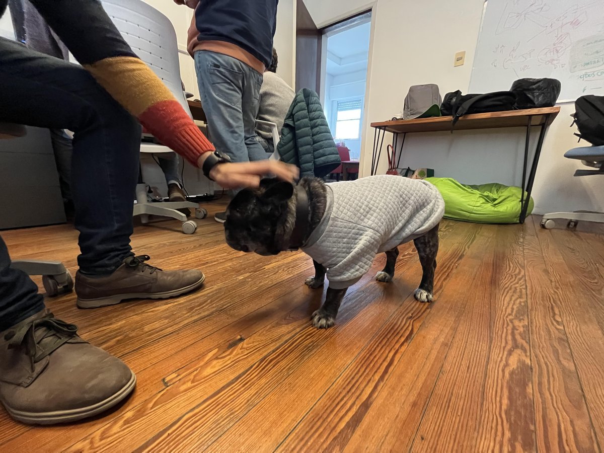 Cavepot's tweet photo. What does a great working culture look like? Do as Pombo 🐶and watch our latest reel 🤩👇
https://t.co/51iydznVlb
#Cavepotuy #welovecode #workculture https://t.co/tBvNrD9rH4