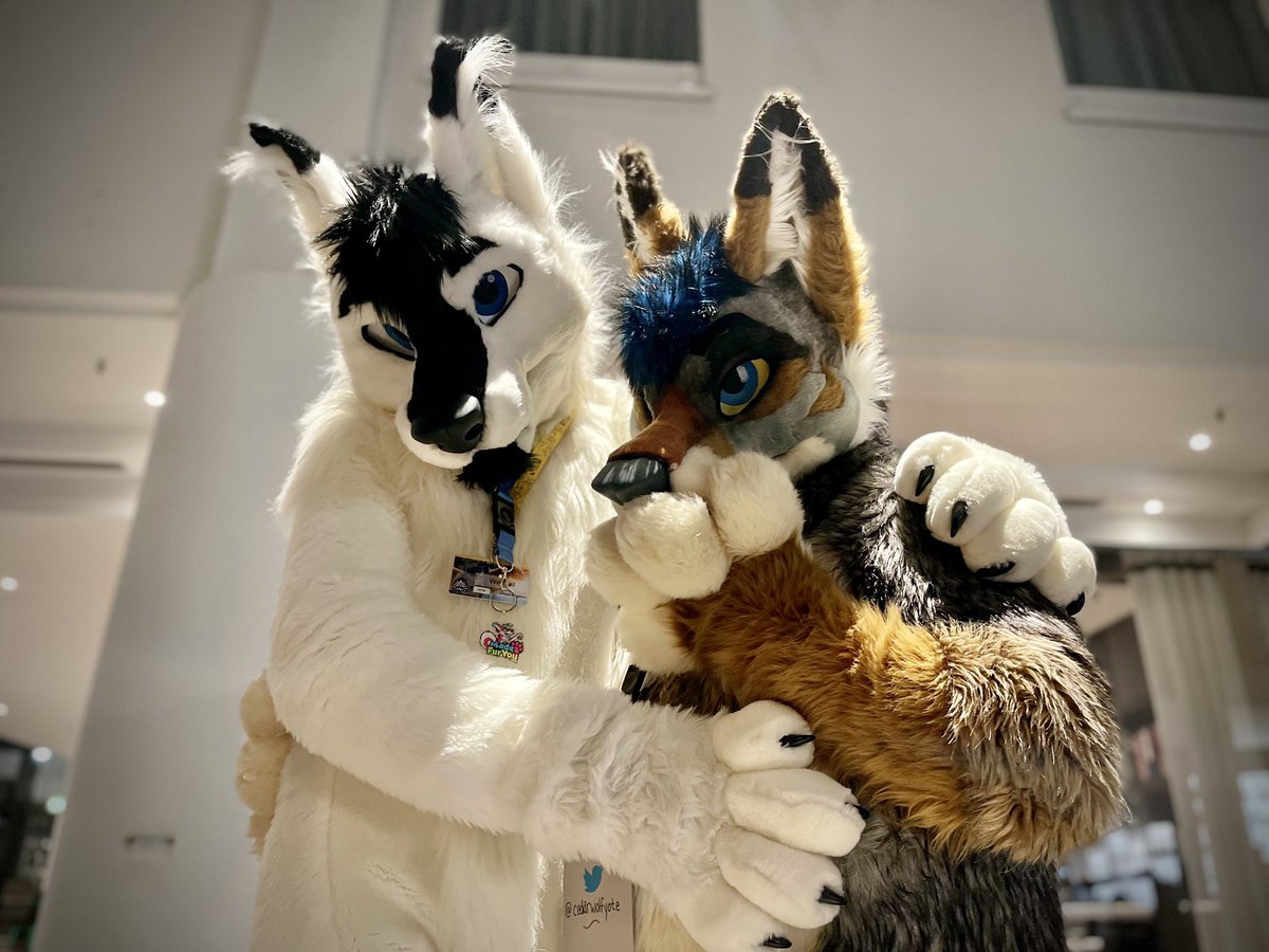 Cedar Wolfyote 🔜 FWA, MP tweet media