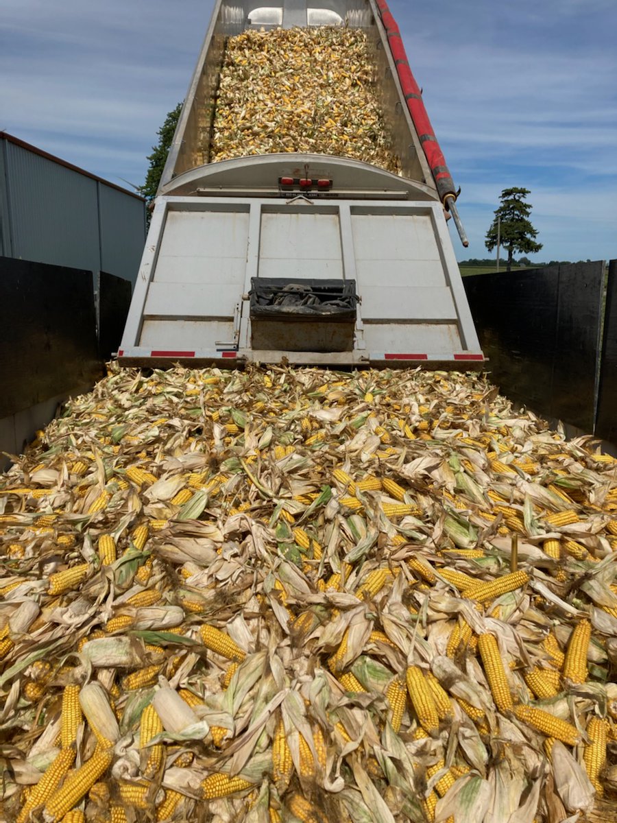 C & L Seed Production tweet media