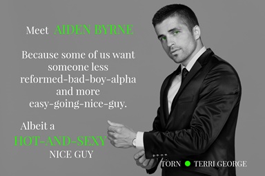 5 🌟 “For once there is a Mr. Nice Guy in a book. After few pages I was in love!”
TORN is available as an Erotic Romance getBook.at/TORNbyTerriGeo…
AND a romantic version getbook.at/TORNRomanticVe… #gr8books4u