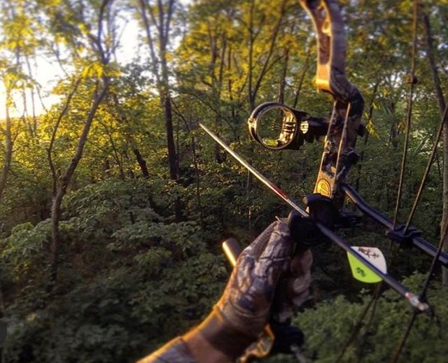 kyfishwildlife's tweet photo. The fall archery seasons for deer and turkey open today.
2022 Kentucky Hunting & Trapping Guide: https://t.co/jptz01dhJd
Buy your license and permits (and reprint your hunter education card, if needed): https://t.co/IEJEGaeizi
#huntKY #myKYoutdoors https://t.co/hx7qMDQJ49