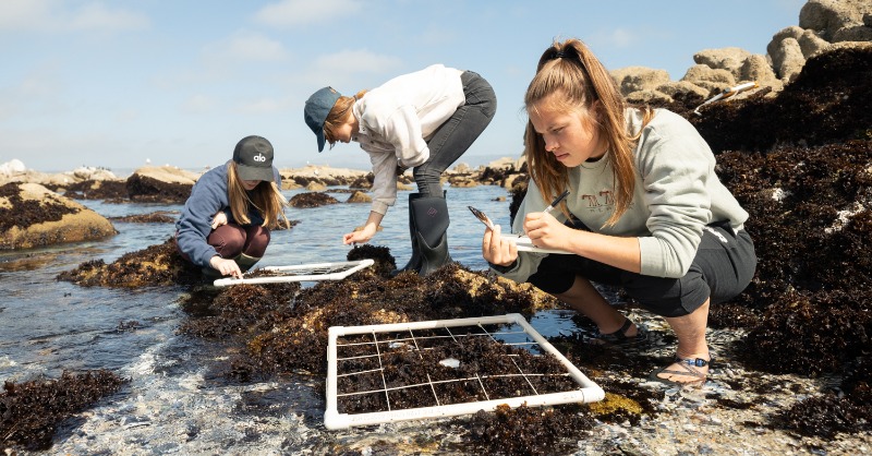 Stanford's tweet photo. A beacon of ocean research for over 100 years, @HopkinsMarine Station enters a new chapter this fall as it becomes part of the new @StanfordDoerr School of Sustainability. Take a photo tour ⬇️