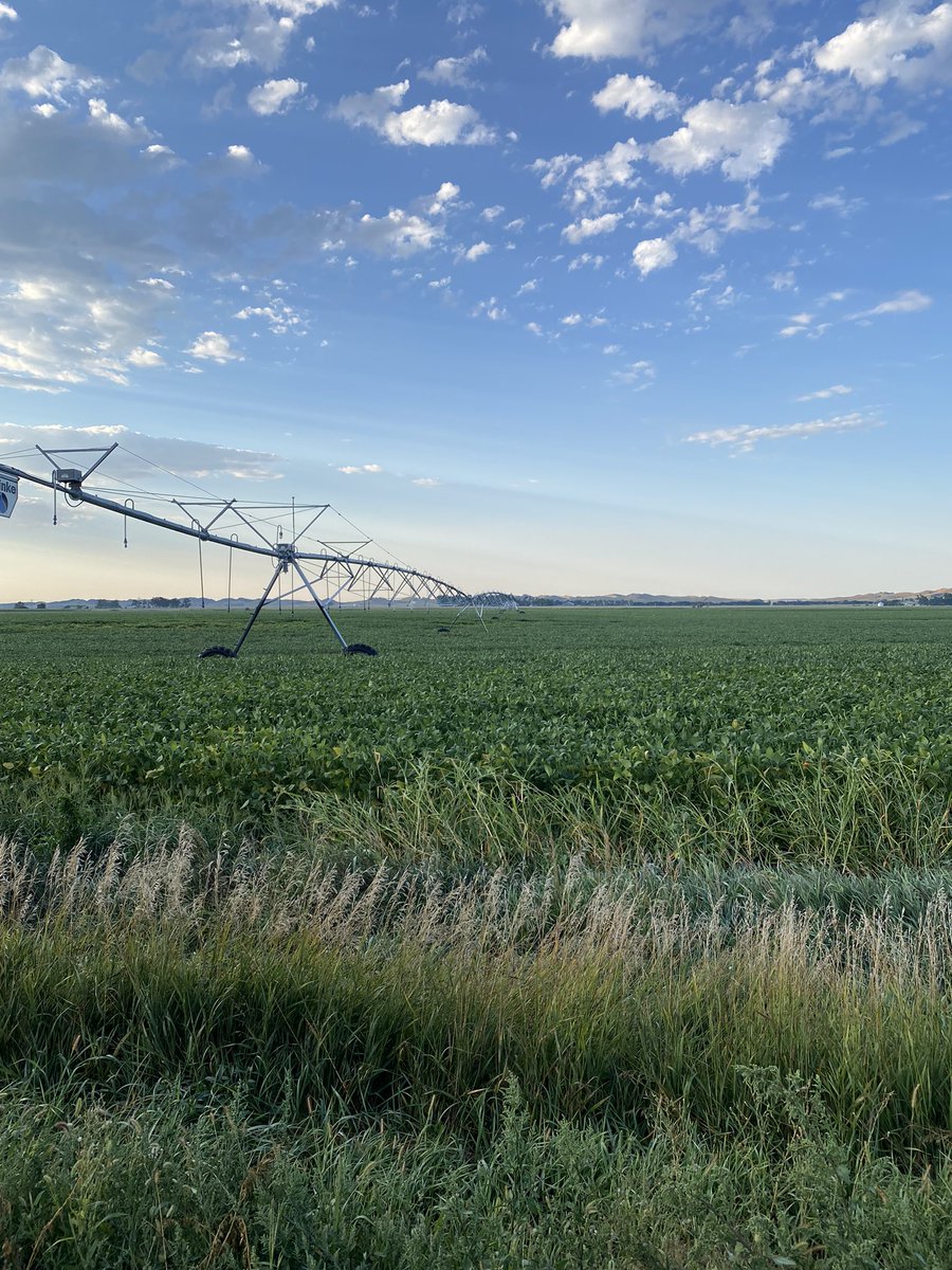 Kerr_mac's tweet photo. An otherwise beautiful morning…but zoom in and look closely…if you know, you know. Apparently this vintage of tires reached their end of life. 5 flat tires on the same system, at the same time. @i_pivots https://t.co/6Hui2zTfF4
