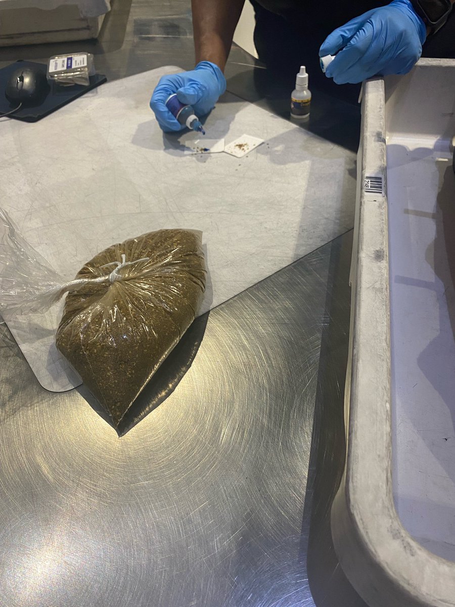 Cynth_horgan's tweet photo. My grandma sent a bag of za’atar with my little sister to bring to me in Colorado and the airport security is testing it 😂 https://t.co/gWpYFTs1xV