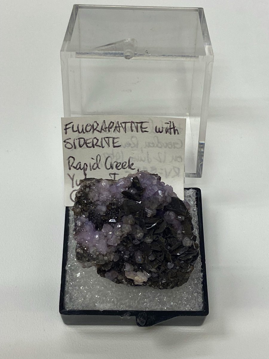 madmurch45's tweet photo. Does jadeite have many uses in geology, biology, and the medical field? Is it studied for use in heavy metal remediation? Useful to agriculture?? Found in living things and different geological environments all around the world? No? Then vote #Fluorapatite https://t.co/mbzVhhk0wc