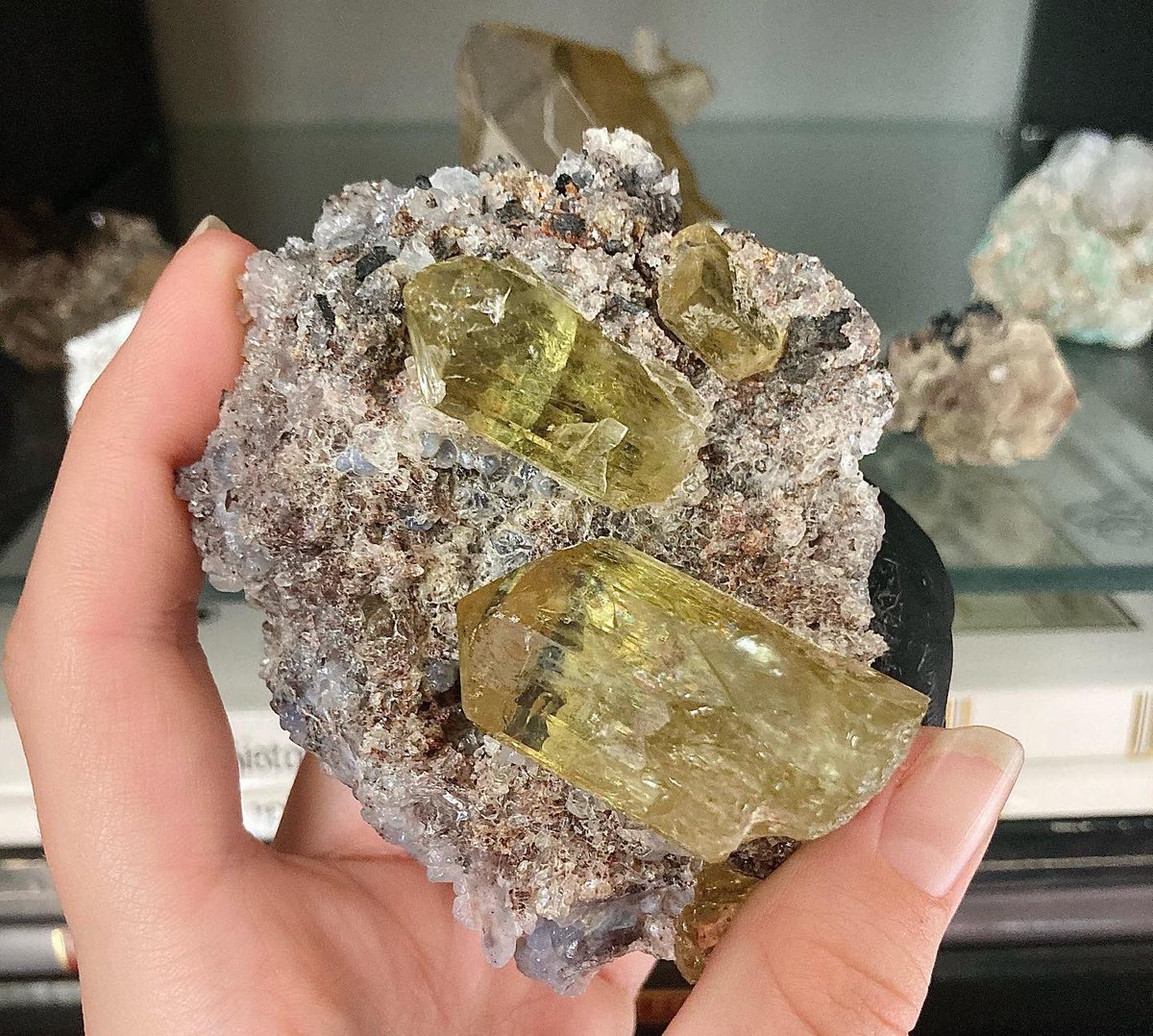 madmurch45's tweet photo. Does jadeite have many uses in geology, biology, and the medical field? Is it studied for use in heavy metal remediation? Useful to agriculture?? Found in living things and different geological environments all around the world? No? Then vote #Fluorapatite https://t.co/mbzVhhk0wc