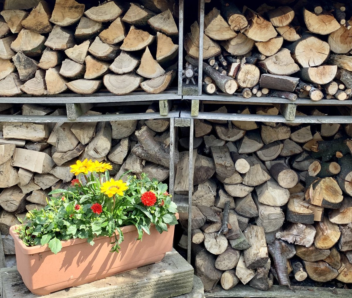 maniccollie's tweet image. Winter preparation #logstore #woodburner