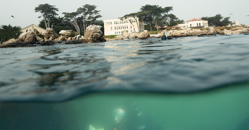 Stanford's tweet photo. A beacon of ocean research for over 100 years, @HopkinsMarine Station enters a new chapter this fall as it becomes part of the new @StanfordDoerr School of Sustainability. Take a photo tour ⬇️