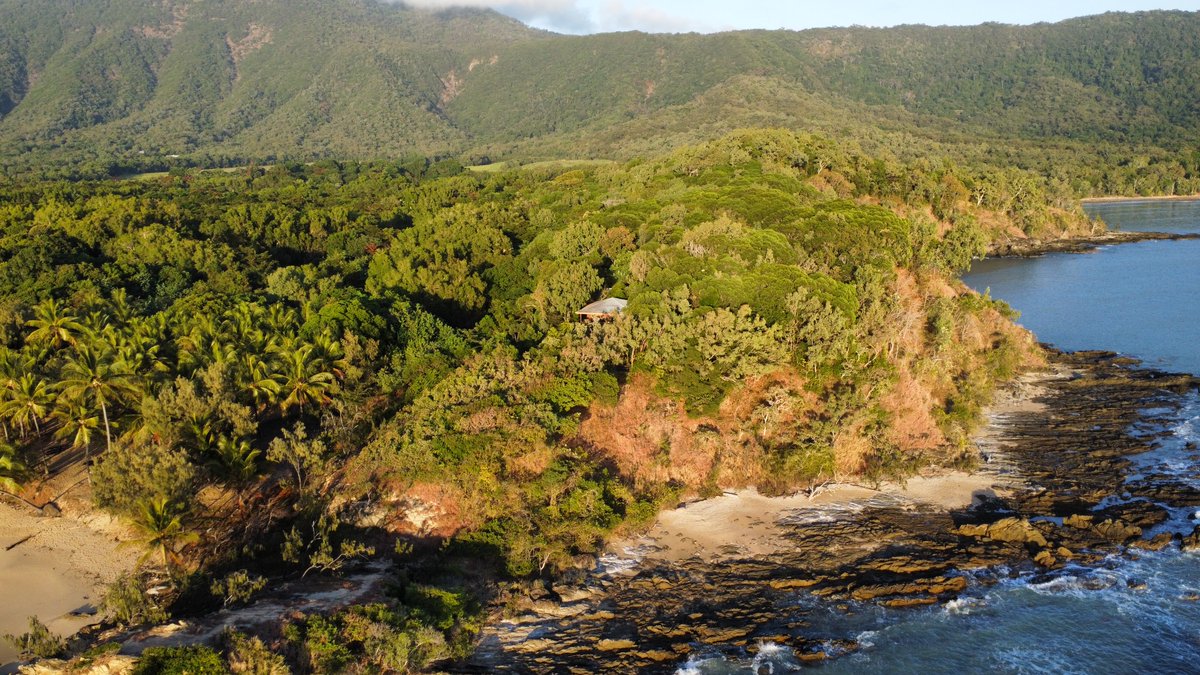 Sandpiper Suite ✨🌿
.
.
.
.
.
.
 #expolreTNQ #portdouglasdaintree #portdouglas #thisisqueensland #thalabeach #seeaustralia #ecotourism #visitportdouglas #explorecairnsGBR #resort #travel #luxury #luxuryaccommodation #sandpiper  #treetops