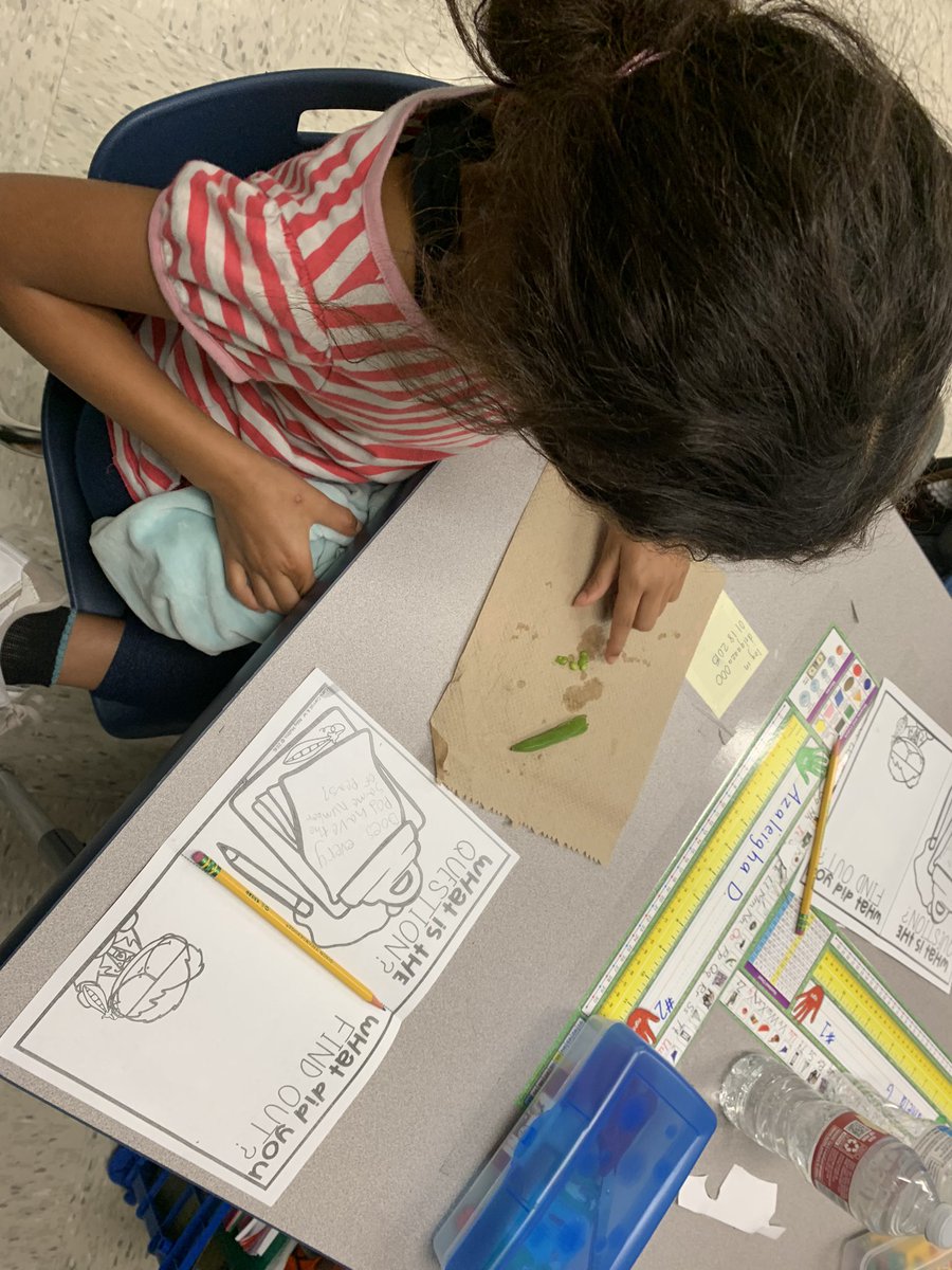 DaeshaEllison's tweet photo. Why do scientist ask questions? These second grade leaders want to find out! #PCEfiesta @plumcreekelem https://t.co/zLf5abCjoW