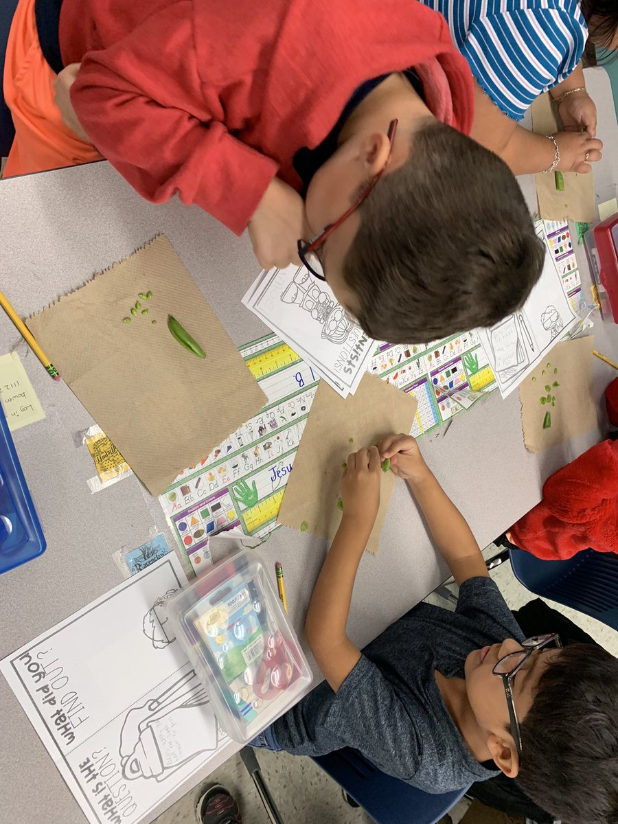 DaeshaEllison's tweet photo. Why do scientist ask questions? These second grade leaders want to find out! #PCEfiesta @plumcreekelem https://t.co/zLf5abCjoW