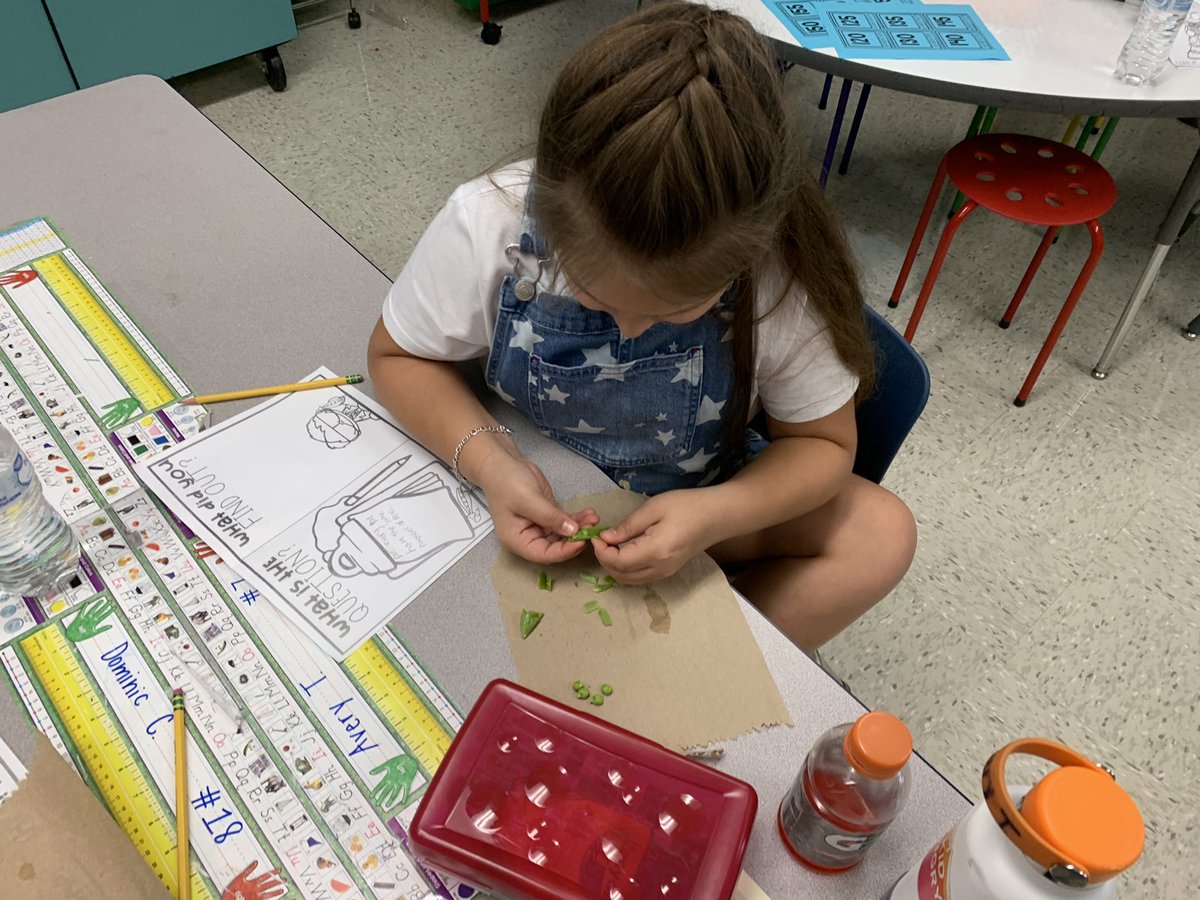 DaeshaEllison's tweet photo. Why do scientist ask questions? These second grade leaders want to find out! #PCEfiesta @plumcreekelem https://t.co/zLf5abCjoW