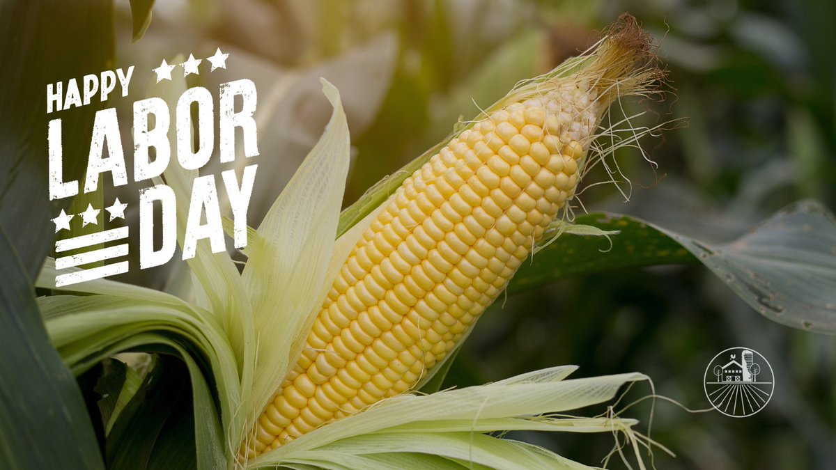 AgricultureDE's tweet photo. Nothing better than #DelawareGrown sweet corn to add to your Labor Day Weekend picnics and BBQs. Remember to thank your #netDE family farmers for all their hard work to grow your food. https://t.co/0RmD6I20aA