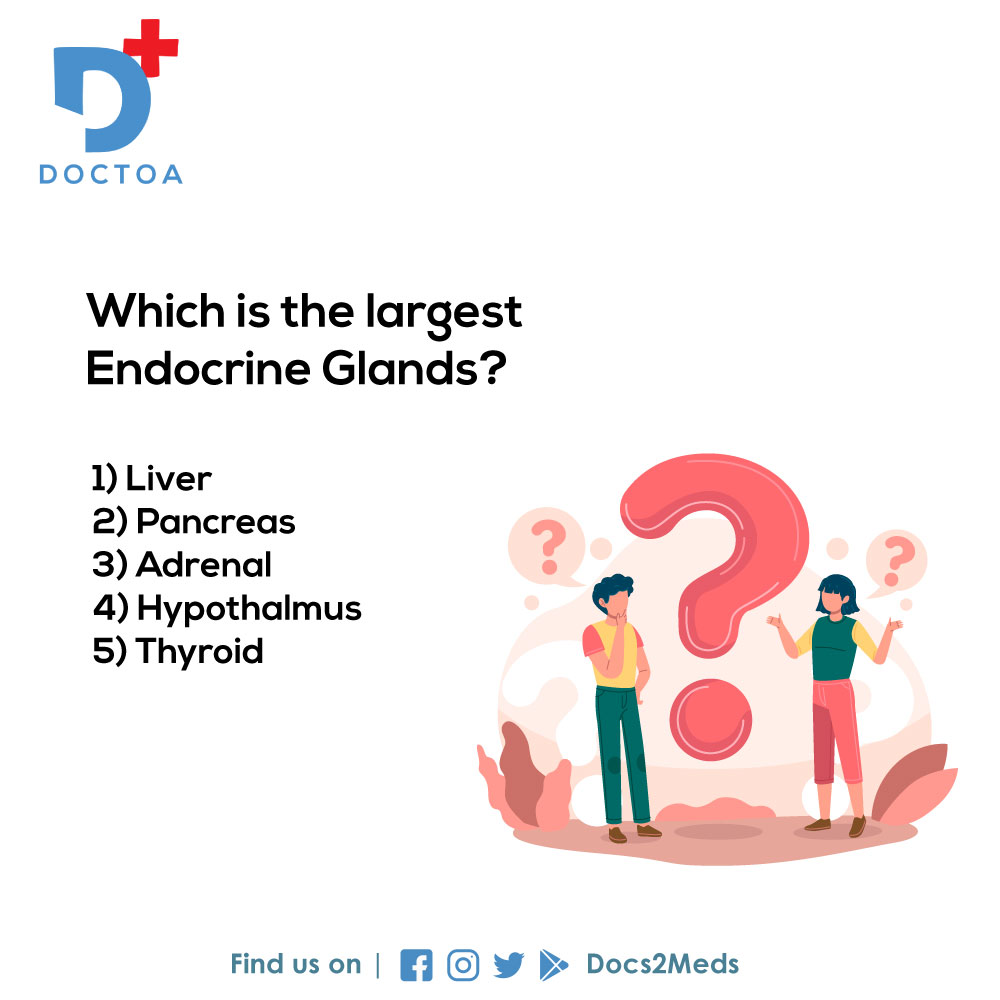 docs2meds's tweet image. Comment your answers now! 

Follow @docs2meds for more.

#Docs2Meds #Sanjeevani #Doctoa #doctors #nurses #paramedical #hospitals #technicians #endocrine #glands #endocrineglands #trivia #quiz #comment #share #answer