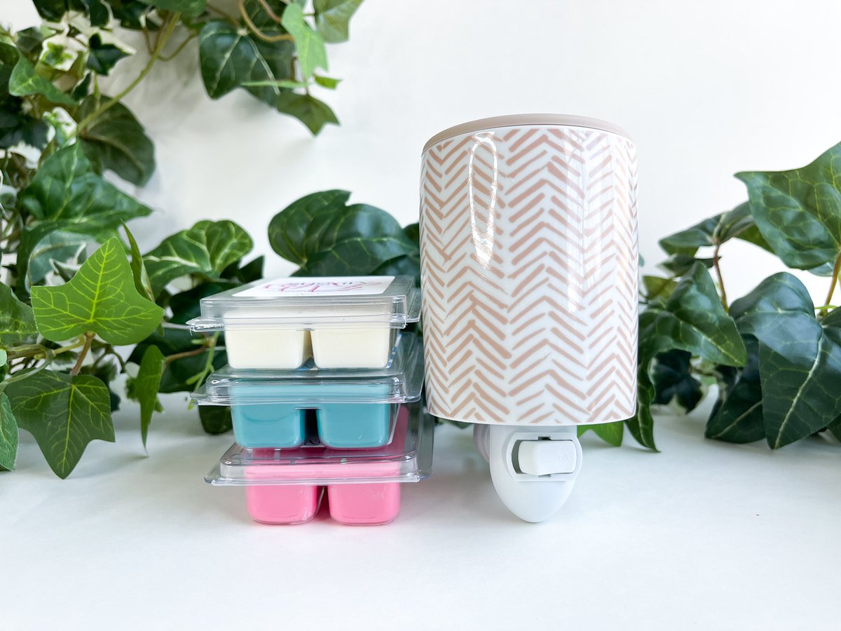 _andivy's tweet photo. Happy Labor Day!

All orders placed through midnight on 9/5 will be 20% off! https://t.co/wqxCnAy8r7