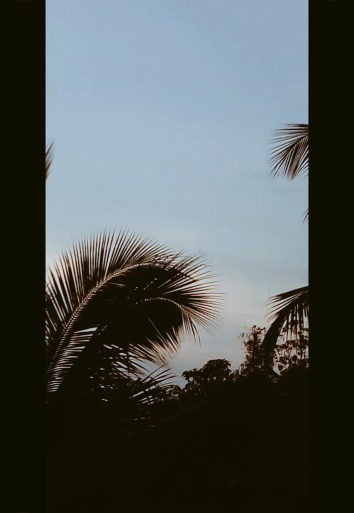 Binteiq084's tweet photo. Learn to be done with people. 🙂
 not mad,😩not bothered. just done.🕊🤝🏻 https://t.co/8BQ4n1Lwfs