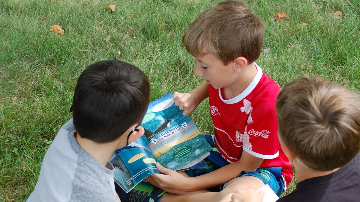 Fairview Elementary D57 tweet media