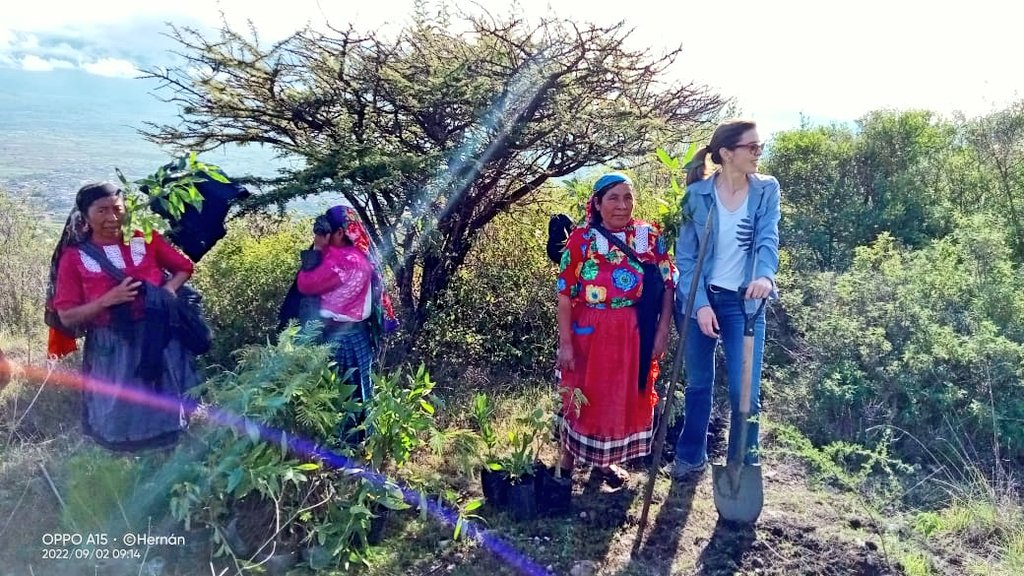 Ambiente_GobOax's tweet photo. Día de #Reforestación en San Bartolomé Quialana. Sembrar es un acto generoso, hacerlo de la mano de las comunidades es una experiencia grafiticante. 🇲🇽

@alejandromurat 
@HelenaOax 
@SEPIA_GobOax https://t.co/8xwpdRmsgf