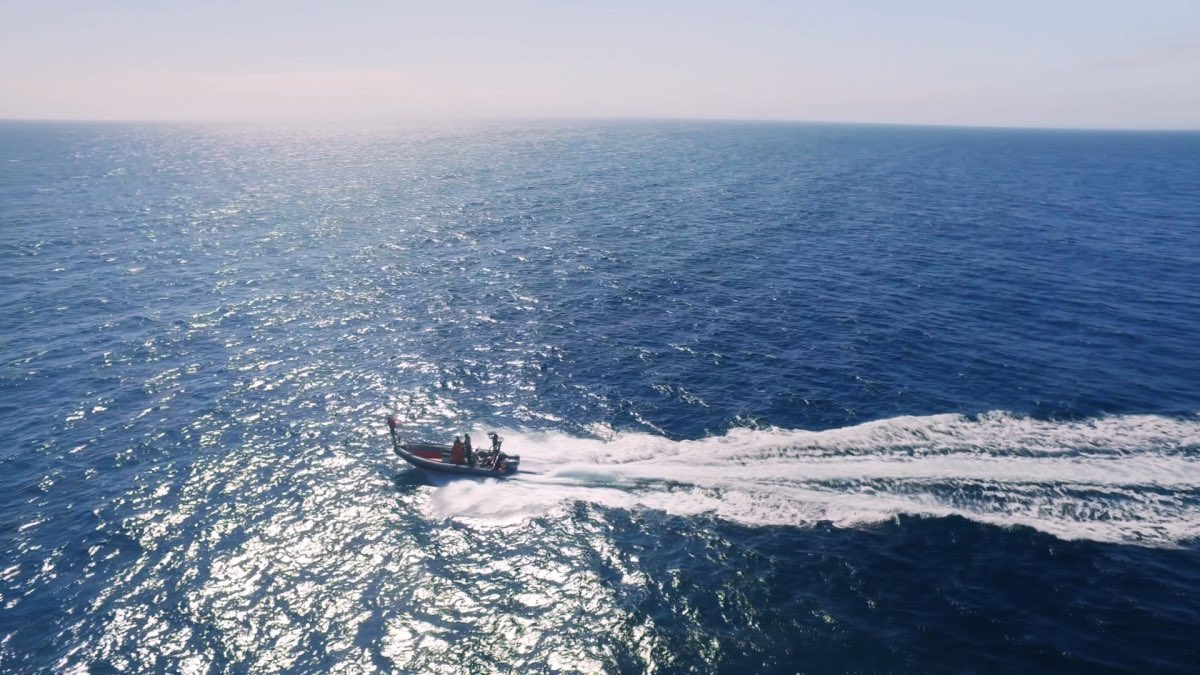 todayyearsold's tweet photo. In 1992, scientists discovered the loneliest creature on Earth. It is a whale that has been calling for a mate for two decades. The whale communicates at a frequency not used by any other whales, and so far, has not received a response. https://t.co/XtL3hG9QWC