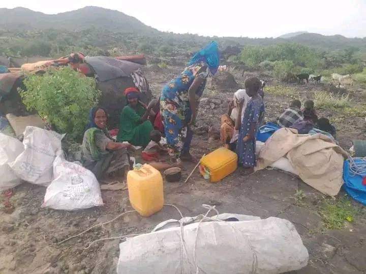 selman_halima's tweet photo. The reason why the #international_community is applauding the #terrorist_TPLF is because our world has been shaken by lies.
The barbaric attacks on innocent women, children and the elderly by the terrorist TPLF are not unknown to the world!
#Afar_under_attack https://t.co/Id76BcpyGf