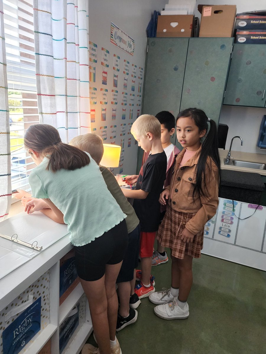 Fourth graders have (temporarily) become system engineers. They are learning about different systems to help them gain the understanding to solve the problem of blackouts in a fictional town. 

This week, they created a small system using a solar panel, clips, a fan, and a motor.