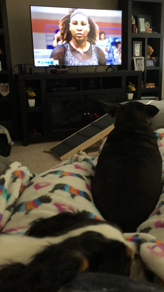 mistress_ninja's tweet photo. Let’s go @serenawilliams let’s go!!!!! Cheering the #GOAT𓃵 from the #nergeon. #USOpen2022 #empowerment #TwirlForSerena https://t.co/gZmQnyH3G6