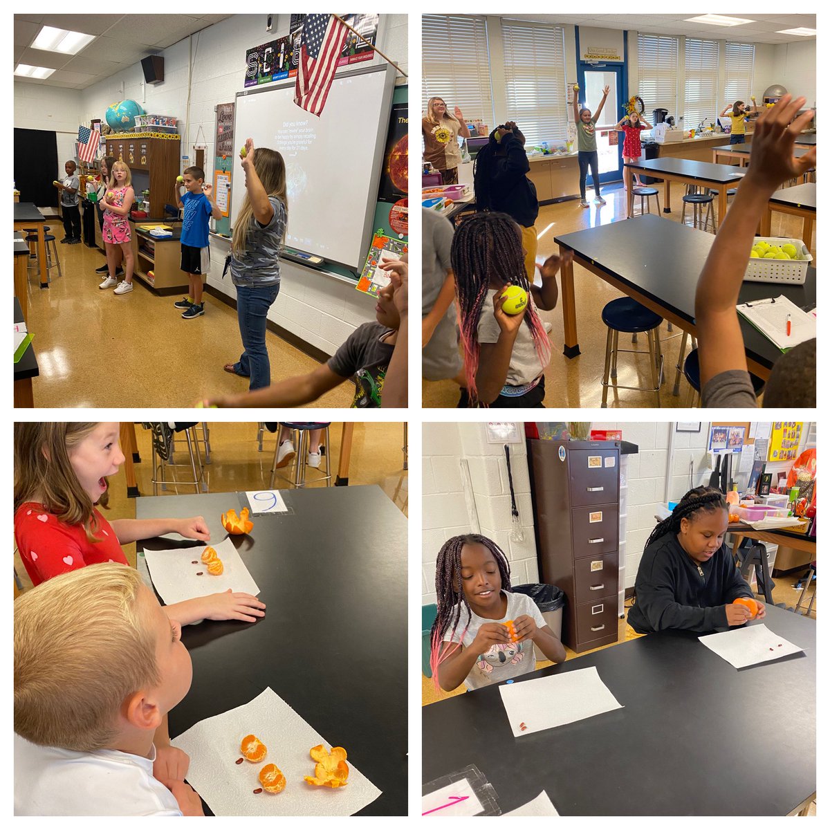 Fourth grade scientists at <a href="/MtHopeNanjemoy/">Mt. Hope/Nanjemoy ES</a> are activating their neurotransmitters with a tennis ball technique. They also constructed models of the brain using clementines. Lots of great things happening in science!! <a href="/CCPS/">Charles County Public Schools</a>