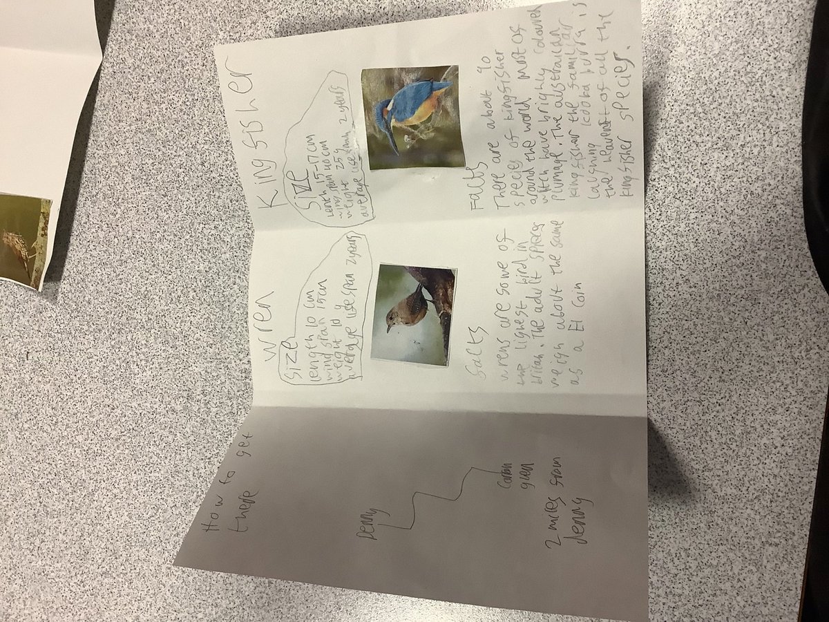 We started last week by exploring natural heritage in our area by designing a tourist information leaflet for carron glen. This week we used an interactive map to answer questions in our heritage quiz. We are working towards our heritage hero awards #nurture #dhs