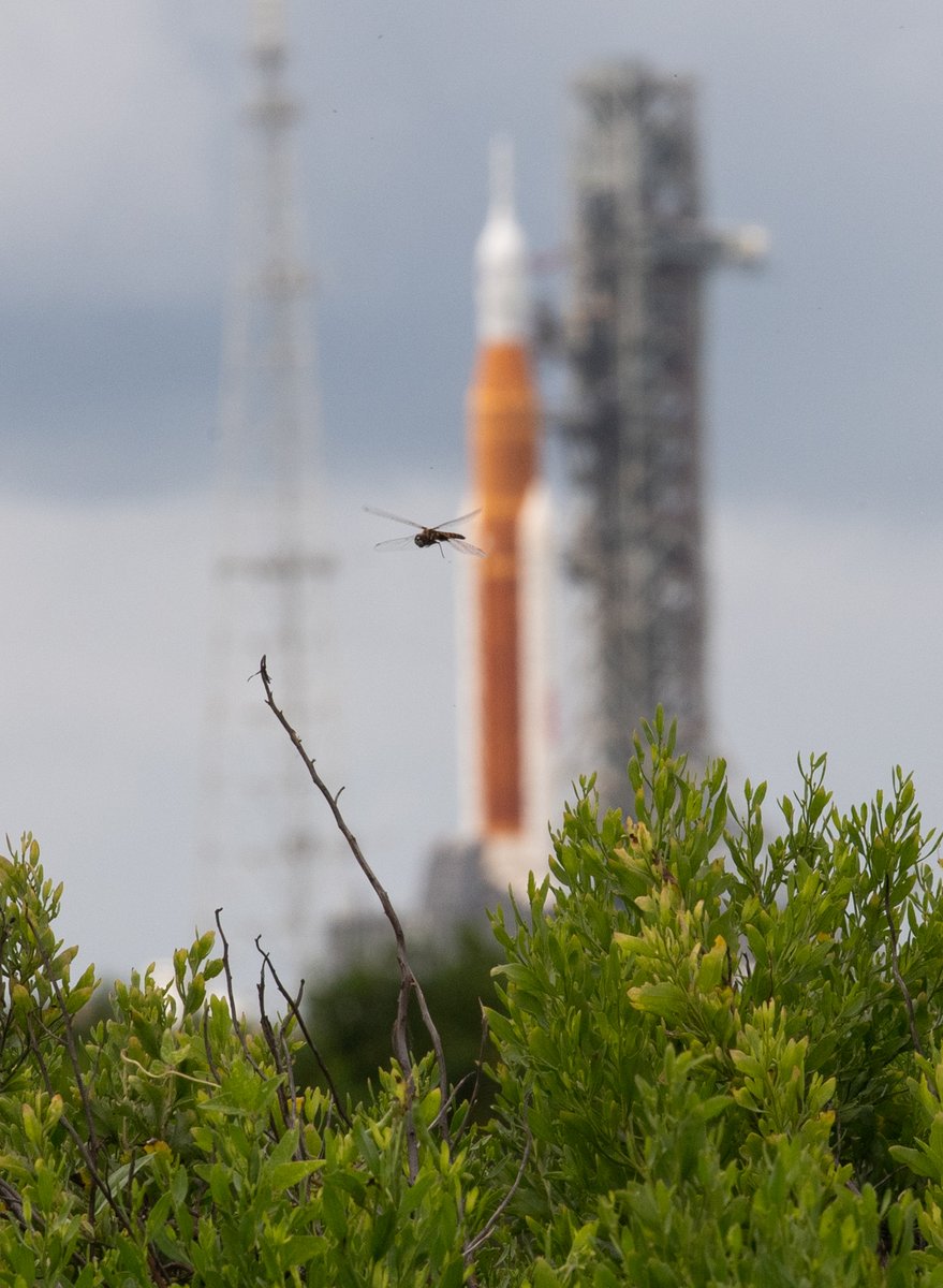 NASA_SLS's tweet photo. Learn more about the #Artemis I mission - including the updated mission timeline - with the Artemis Press Kit: https://t.co/N8EsAWnODF 

Get a mission overview, learn what the weather criteria for a launch is, and more! https://t.co/SkVz18iz5o