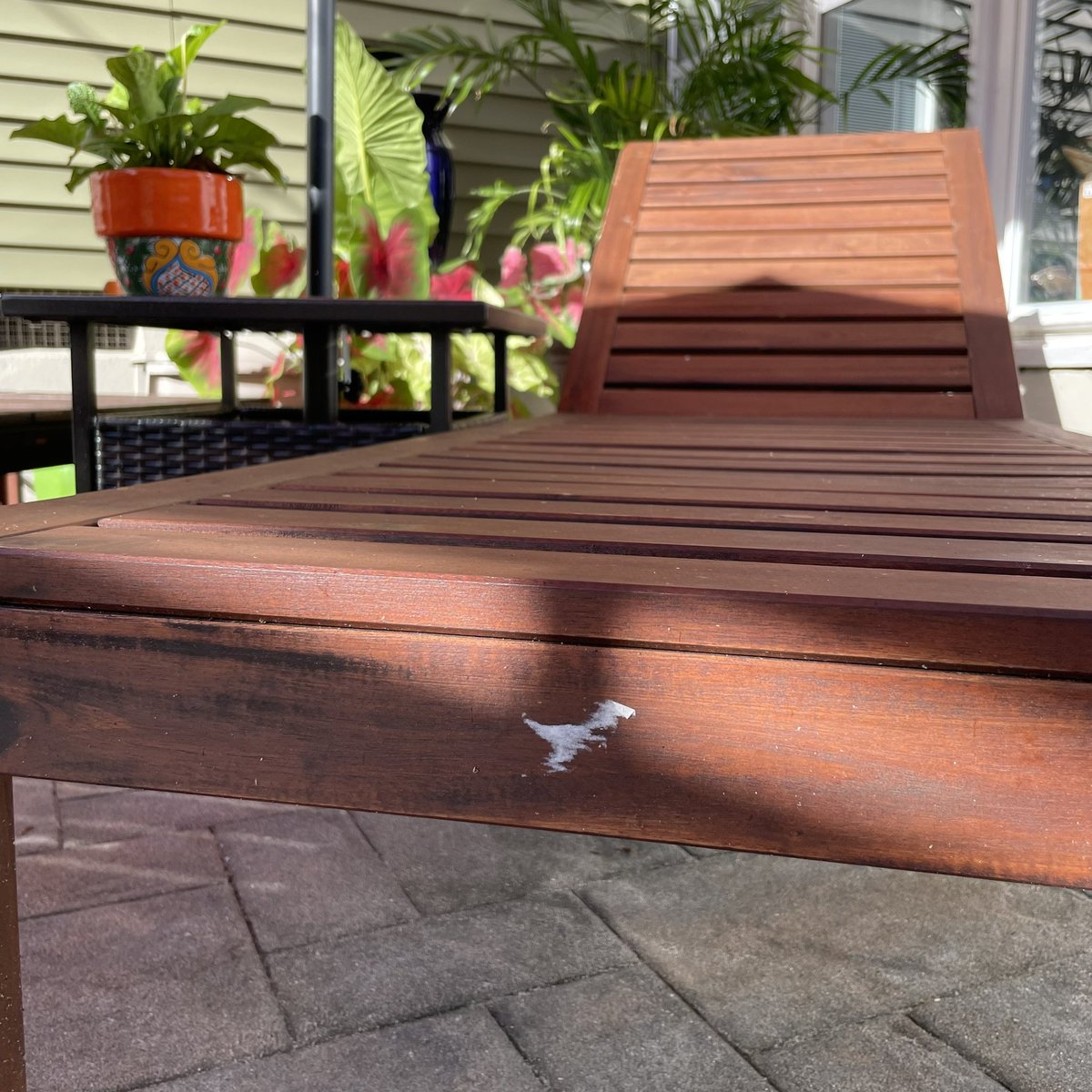 Kestavanik's tweet photo. A smudge on my parents lounge chair looks like a T-Rex https://t.co/Ie1QKrgTlH