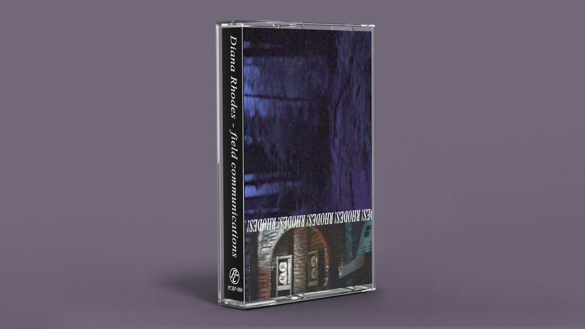 prettycorptapes's tweet photo. This Bandcamp Friday, check out our selection of cassettes!

Pictured:
- Diana Rhodes (@fakesynthi) - field communications
- iNTERNET AGE (@kokohtml) iNFINITELIF3
- PanPan (@1nsan32) - Lovebirds

➡️ https://t.co/g08CBmqijl https://t.co/9dkWiSg8nn
