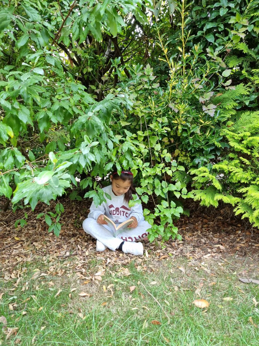 dgittin3's tweet photo. #ReadingInUnusualPlaces https://t.co/00DyDvn9M0