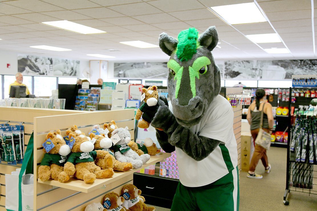MoTheMustang1's tweet photo. Happy National College Colors Day! I picked up mine in the Campus Store along with this cute stuffed mustang. #collegecolorsday https://t.co/PHrKArhjvH