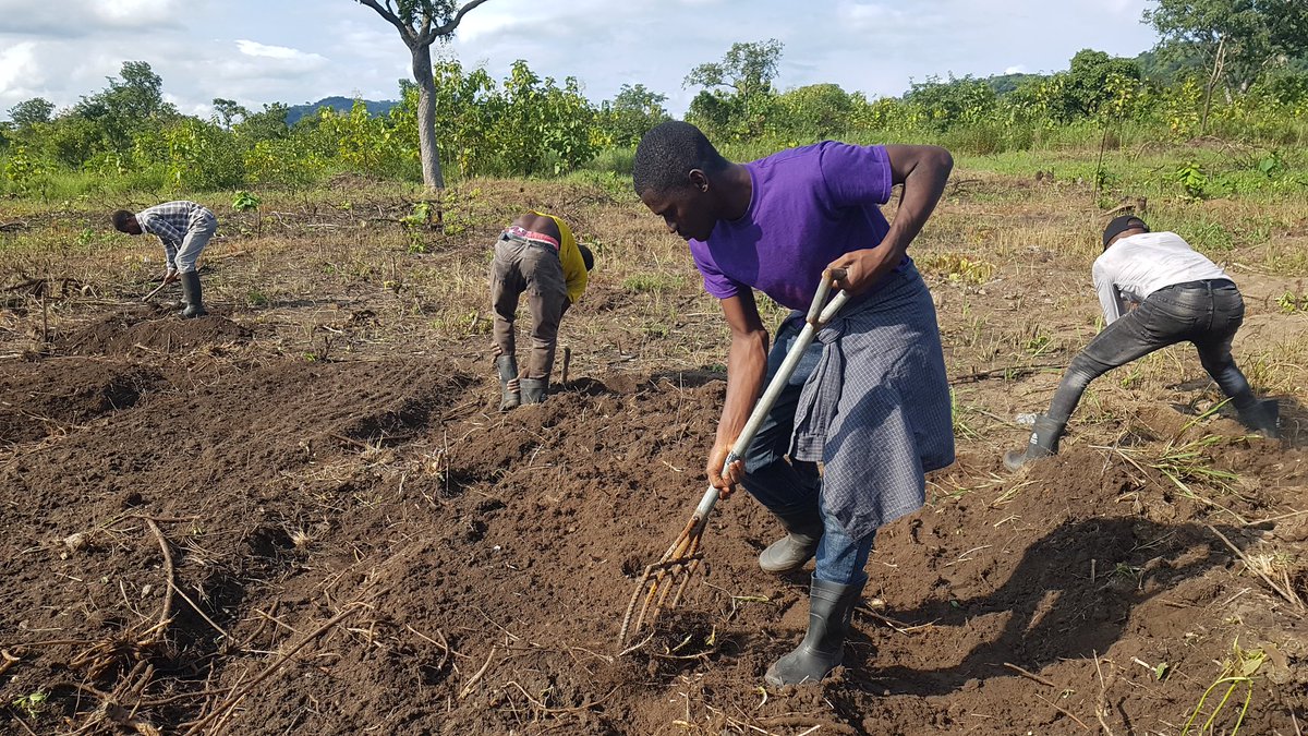 wm_kporxah's tweet image. @NodeEight is making farming possible.
Thank you @bk_aklama and the team
#GreenCubator
#employabilityskills 
#greenentrepreneurship 
#youthinagriculture 
#SDGgoals 
#DigitalInnovationHub 
#NodeEight