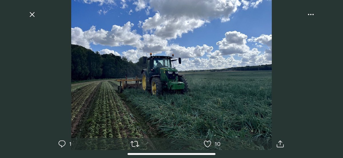 Andrew Naish tweet media