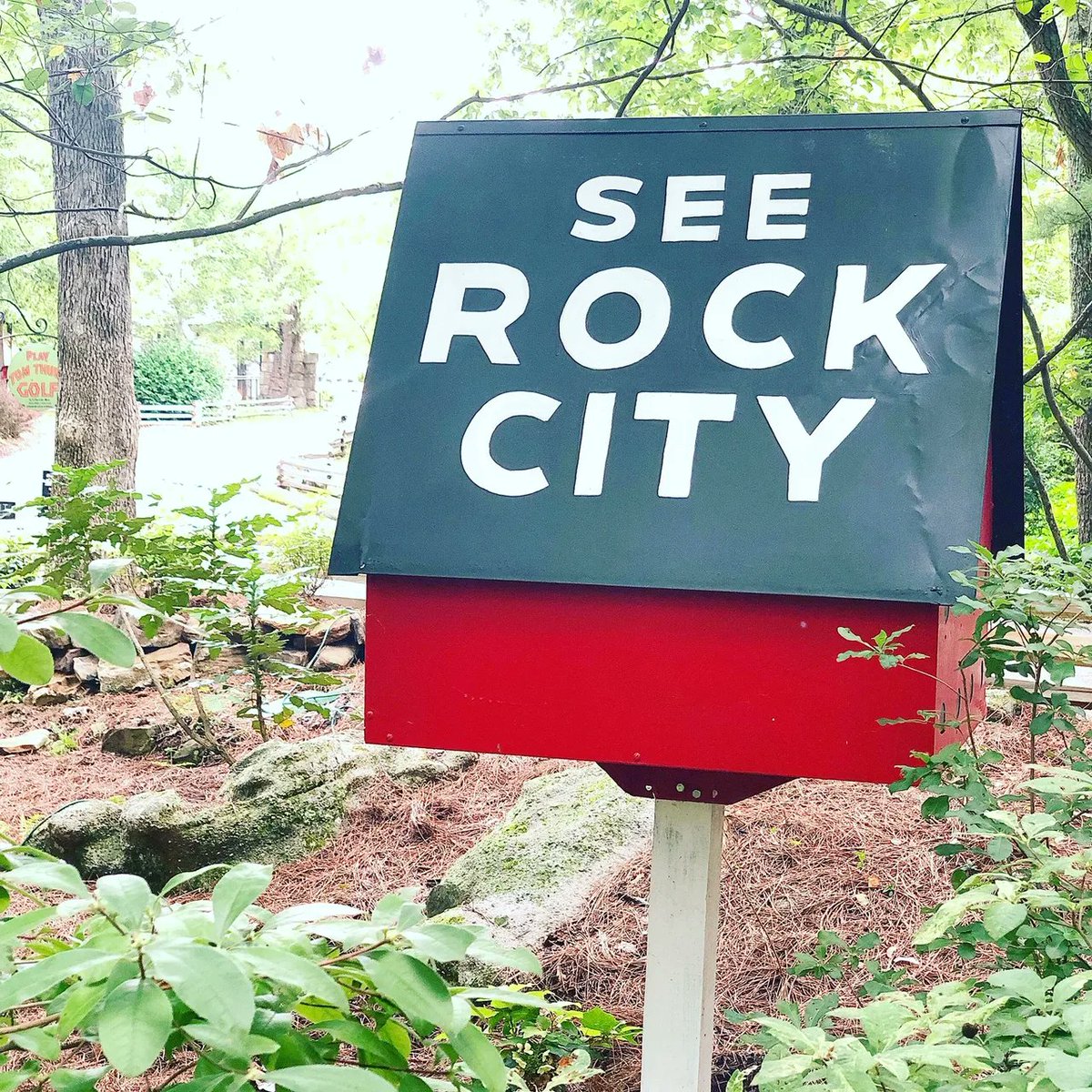 777clubN's tweet photo. seerockcity.eth

TAKING OFFERS

https://t.co/ux7Z5e4TNr
#ens #ensdomains #ensdomain #domains #eth #web3 
@opensea
 #atlanta #rockcity #seerockcity https://t.co/eiGz6D6i63